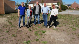 Foto van Wiekterrein in Molenwijk krijgt nieuwe invulling