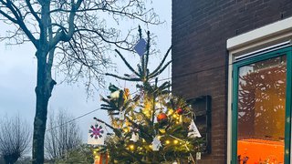 Foto van Vraag jouw buurtkerstboom aan