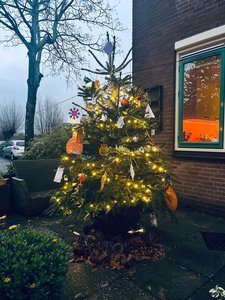 Logo voor Vraag jouw buurtkerstboom aan